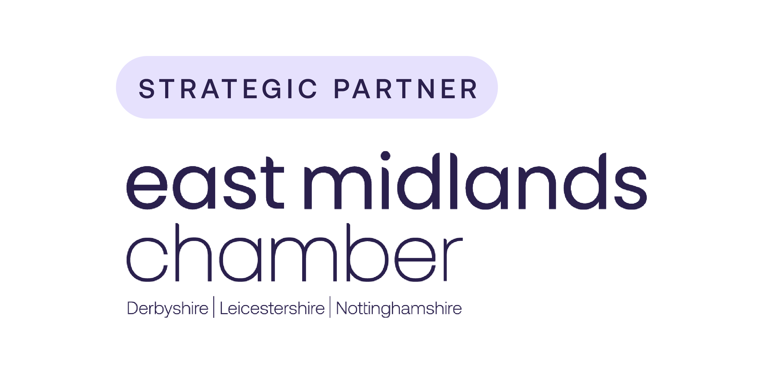 strategic-partner-white